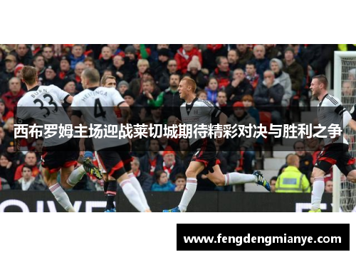 西布罗姆主场迎战莱切城期待精彩对决与胜利之争