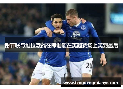 谢菲联与维拉激战在即谁能在英超赛场上笑到最后