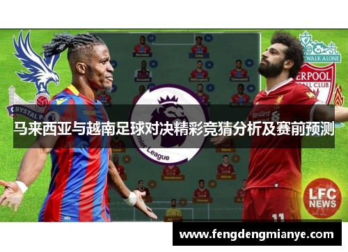 马来西亚与越南足球对决精彩竞猜分析及赛前预测